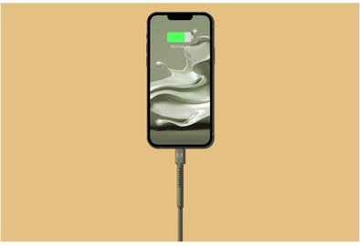 Fabriq USB > Lightning Kabel (2m) Dried Green