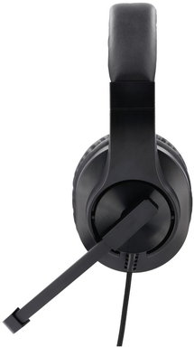 HS-P350 schwarz